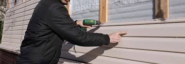 Best Insulated Siding Installation  in Haines City, FL